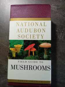 (Antik) Field guide to mushrooms North America (2006)-20.vydání