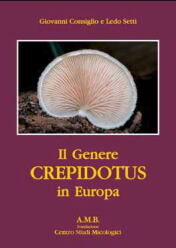 (antik) G. Consiglio e L. Setti (2009)-Il Genere Crepidotus in Europa