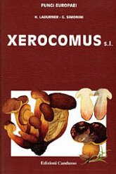 (antik) Fungi Europaei 8 Xerocomus s.l. (2003)-H. Ladurner & G. Simonini